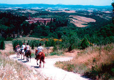 Italy-Tuscany-Western Riding in Tuscany